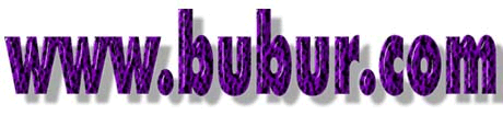 wwwbuburcom1.gif (34098 bytes)